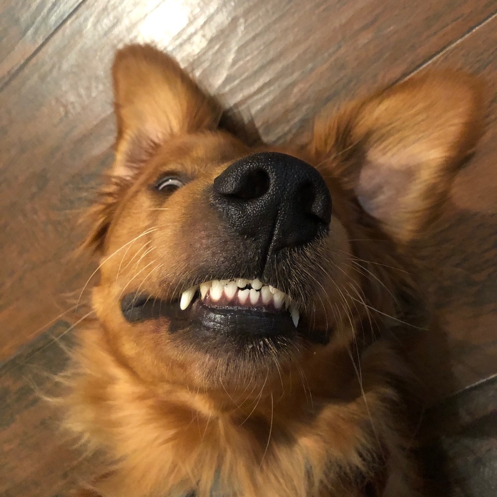 Molly